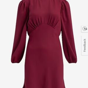 EXPRESS Long Sleeve Ruched Empire Waist Mini Fit and Flare Dress